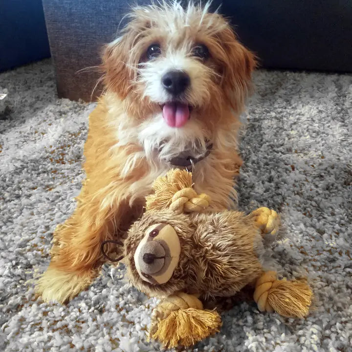 Roper Prairie Sloth - Infinitydogtreats